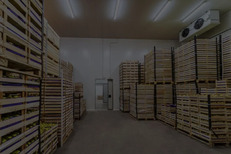 fruit crate in cold storage rooms